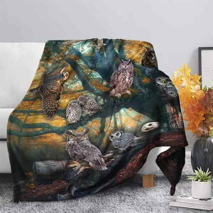 ѕz tl 3D tNE A 킢 Ђ| uPbg sp sNjbN AEghA Lv W[ Ԓ ItBX ig |GXe 炩  y 