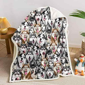 uPbg nXL[ vg tl ۉ \t@Jo[ xbhJo[ V[c Ђ| ӂӂ g G |GXe 킢 LN^[ I[V[Y