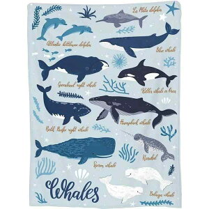 ѕz uPbg Ђ| NW tl |GXe _炩 g K ӂ Ȃ߂炩ȔG y 􂦂 \t@ xbh ItBX rO ʔNgp CX^