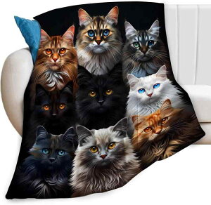 xr[ uPbg L ubN tl ӂ_炩 y 킢 \t@ xbh G| Q v[g