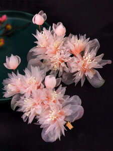  fB[X  a Õ g {앗 X`[t  Z  sN 񂴂 wAANZT[  ܎O l   p[eB[ Cxg i D