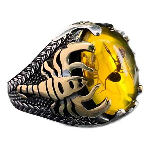 w jp `[t A T\ CG[ WRjA ĕ g t@bV X^CbV I ݊  dCbLH JWA