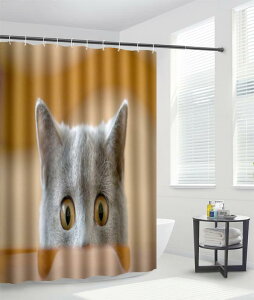 oX[Zbg V[J[e oX^I gC}bg oX}bg z  ~ h |GXe L (x2)