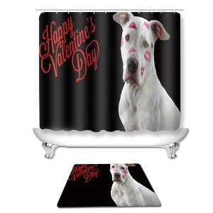 V[J[e o^Cf[ H |GXe ԕ n[g oX}bg Zbg  킢 oX[ Cpi jbgoX ډB Ԏd؂