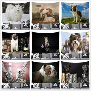 ^yXg[ ʉ敗  킢 Aj} ybg Ǌ| z EH[fR[V |GXe s[`XL N CeA  rO Q q 