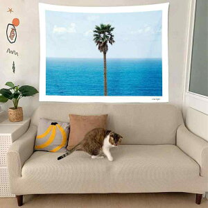 ^yXg[ _ Vv C i r[`  z |GXe Ǌ| ` ݕ ǖʃfR[V rO Q q wiz \