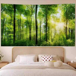 ^yXg[ k 厩R X X i EH[fR[V   Q xbhTCh Ǐ |GXe OK ` N₩ ₵ bNX ȃCeA