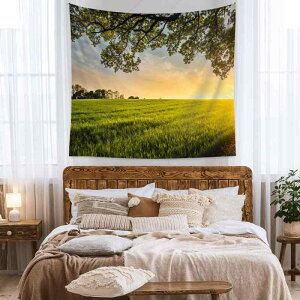 ^yXg[ {w~A i EH[fR[V CX^ ȕ wiz Ǌ| CeA |GXe rO Q ͗lւ A[g _