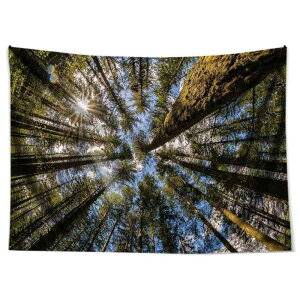 ^yXg[ k 厩R i O[ ̐X EH[fR rO Q ItBX ͗lւ Ǌ| CeA t@ubN|X^[