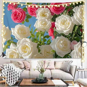 ^yXg[ CX^f [Y KN ԕ t[ Ǌ|  EH[fR[V  Q xbh[ CeA _ 킢 |GXe fW^vg