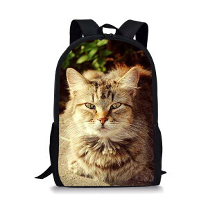 bNTbN LbY wp ueBbVV[gwA L Qׂ Aj}vg 킢 ʊw XN[obO qp jp |GXe