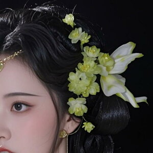 wAANZT[        nhCh Õ g D GKg wANbv TChNbv ob^ wbhhX Cxg a