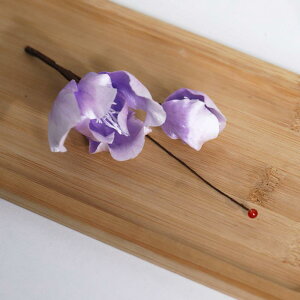  fB[X `H|   Ԃ񂴂  p[v g AeB[N i ؂₩ `CihX  a   Cxg ig t