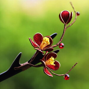  fB[X g~`[t xxbg hؐ ؕ g_ p  wAANZT[ i D t