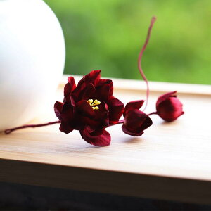  fB[X  `H|  VN xxbg  񂴂 Ȃ₩ g AeB[N ԉ uC_  `CihX a wAANZT[ bhn