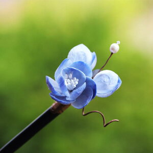 񂴂 fB[X  nhCh `H| VNxxbg  t[  V h  wAANZT[ a ig  I