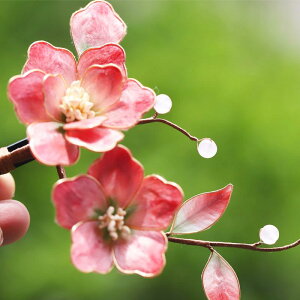  p ԉ uC_  l  `׍H C[׍H ԐF  t[`[t wANbv 