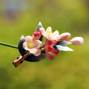 wAANZT[  `H|  xxbg ԃ`[t a g GKg i wbhhX ؕ ߑ tH[} ig