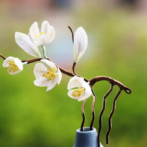 wAANZT[ fB[X p  `H|i \VNxxbg ԏ wAR[  lI`Cj[YX^C nX^C ؂₩ i GKg g ~