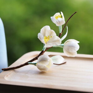 񂴂 `Y VNxxbg  Vؕ g AeB[N `CihX  wAANZT[  Ǝ l  a i GKg ~F