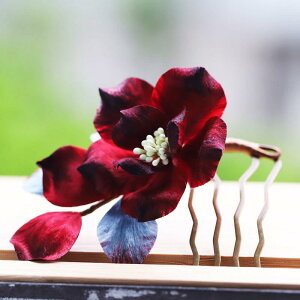  p uC_ ԉ `H| ׍H xxbg R[ a U l Ǝ  JA  bh ؂₩ i t wAANZT[