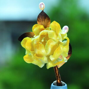  fB[X   xxbg t[ O F Ȃ₩ 񂴂 V؃X^C wAANZT[ a