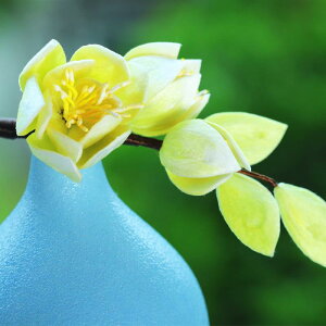 wAANZT[ fB[X \xxbg N`iV \tg  ؕ CG[ F I  񂴂  GXjbN `H| i ؂₩ ig  a `