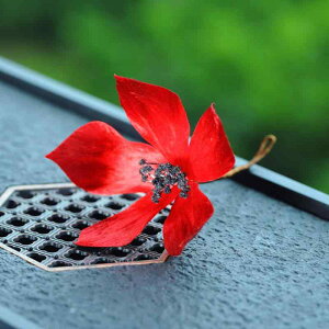 񂴂 fU[g[Y  `H| xxbg \tg^Cv g AeB[N `CihX GXjbN ԐF bhn  a wAANZT[ t