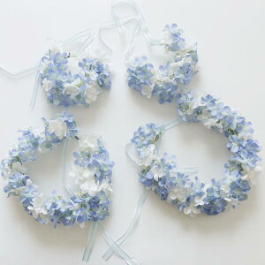 Ԋ wbhhX   AWTC x[ uC_ EFfBO  OB B ][gtHg Xgu[P Be wAANZT[ i` 킢(x2)