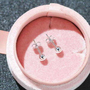 sAX jp  NVbN i GKg  hbg X^bhsAX S[h Vo[ 2F bL \ ig