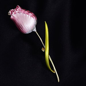 u[` fB[X Ă [Y GiH i GKg l킢  RT[W sobW  dCbLH CG[ sN i` tF~j