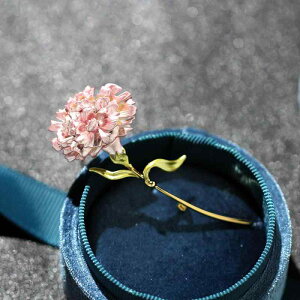 u[` fB[X p J[l[V  t[ bL GiH  sN CG[ u[ 3F i GKg 킢 tF~j  ͂h~ Xg[