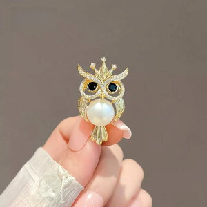 u[` fB[X p 킢 tNE  I  fUC  CXg[ S[h Vo[ p[ p[ i l JWA tH[}  G