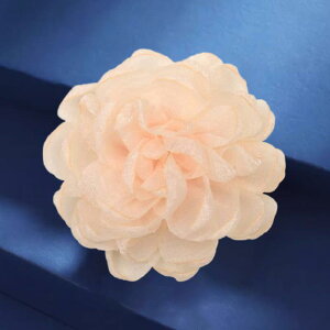 u[` fB[X R JA z nhCh RT[W i   GKg WPbg s[X hX X[c Zj[  tH[} JWA x[