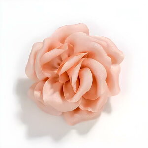 u[` fB[X i GKg z JA ԃ`[t nhCh fUC X[c RT[W ANZT[ Ci tH[}  w Ǝ