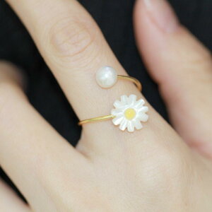 w fB[X ؍ i VRLk fCW[  Vv S[hJ[ p[ t[TCY JWA  ؚ WG[