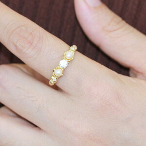 w fB[X S[h VRp[ p[ I[vO t[TCY lwO  t@bV ItBX JWA ig ؚ i