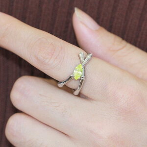 w fB[X ĕ I  |`[t L O i GKg O[WRjA lw I[v t[TCY p t@bV ʋ΃X^C 􉽊w͗l Vo[ 