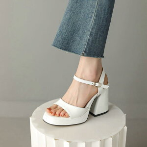 T_ fB[X XNGAgD I[vgD `L[q[ nCq[ XgbvobN Gi v o[\[    x[W t ig o f[g r