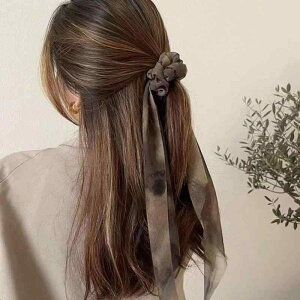 VV fB[X n敿 hXJ[t{ z i GKg l  ig \ wAS  wAANZT[