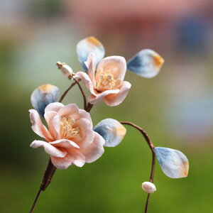 u[` fB[X  VNxxbg t[ GKg i p[ p[  a g AeB[N NVJ RT[W ^ tH[} p[eB[ 