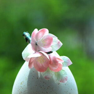 wAANZT[ fB[X  `H| nhCh \ xxbg ̉ wANbv   tF~j i GKg a