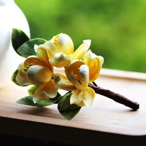 wAANZT[ 񂴂 wAXeBbN F N O VN `Y \tg `Ci g `CihX a   i GKg p[eB[ Cxg t