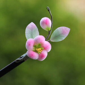   `H| xxbg sN̉  h 񂴂 i D  ؕ  wAANZT[ a {} ܂Ƃߔ wAAW