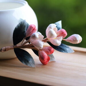 񂴂 `Y \xxbgt[  ԔOf[V Cԃ`[t _炩 i GXjbN a wAANZT[   p[eB[ ig