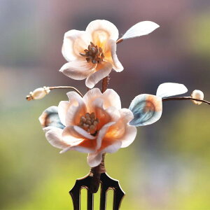 wAANZT[ fB[X  `H| VNxxbg wAR[ ԃ`[t ԉ  uC_ `CihX GXjbN AeB[N t