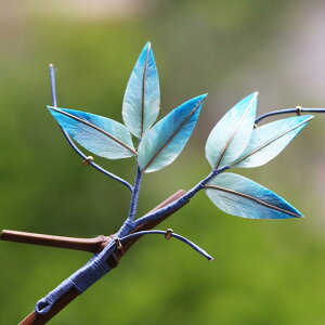 񂴂 fB[X  |  ` tBO[ xxbgԏ |`[t  wAANZT[ a  ig GKg  t Όn