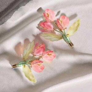 wAANZT[ fB[X X^C a ؕ 񂴂 wAXeBbN wANbv TChNbv t `[bv ̉ sN KX    i G