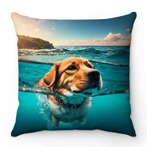 NbVJo[ \t@  p \tg Zёf |GXe LN^[  킢 rO CeA ͗lւ  ` 45x45cm k _ Vv G蔲Q