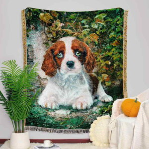 }`Jo[ \t@Jo[ \t@X[ xbhXvbh Ђ| ^yXg[ Ǌ| z  ho |GXe jbg Aj LN^[ 킢 J[gD[ ItBX